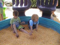 Børnene leger i majskerner